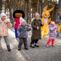 Копия Видеогалерея